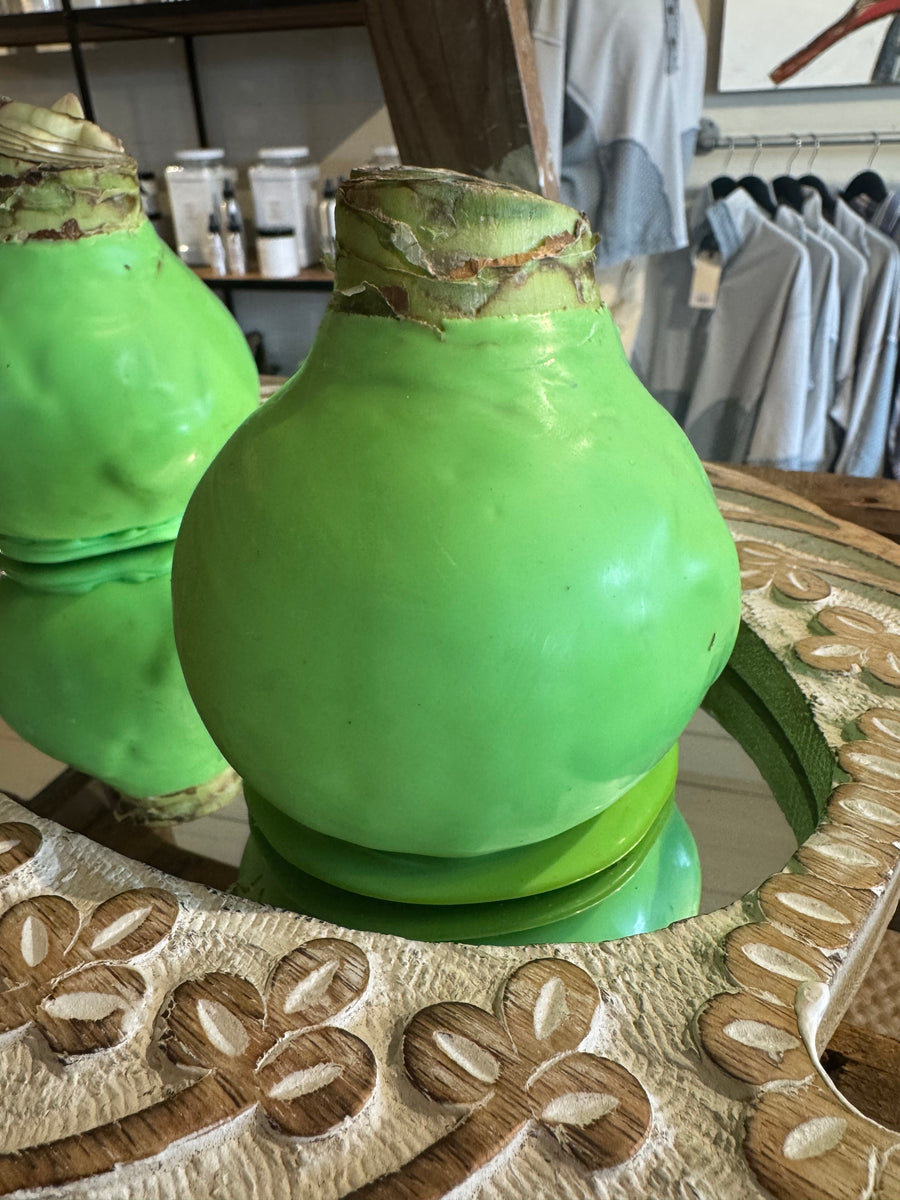 Waxed Amaryllis Bulb