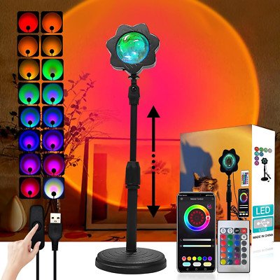 Sunset Projection LED Lamp