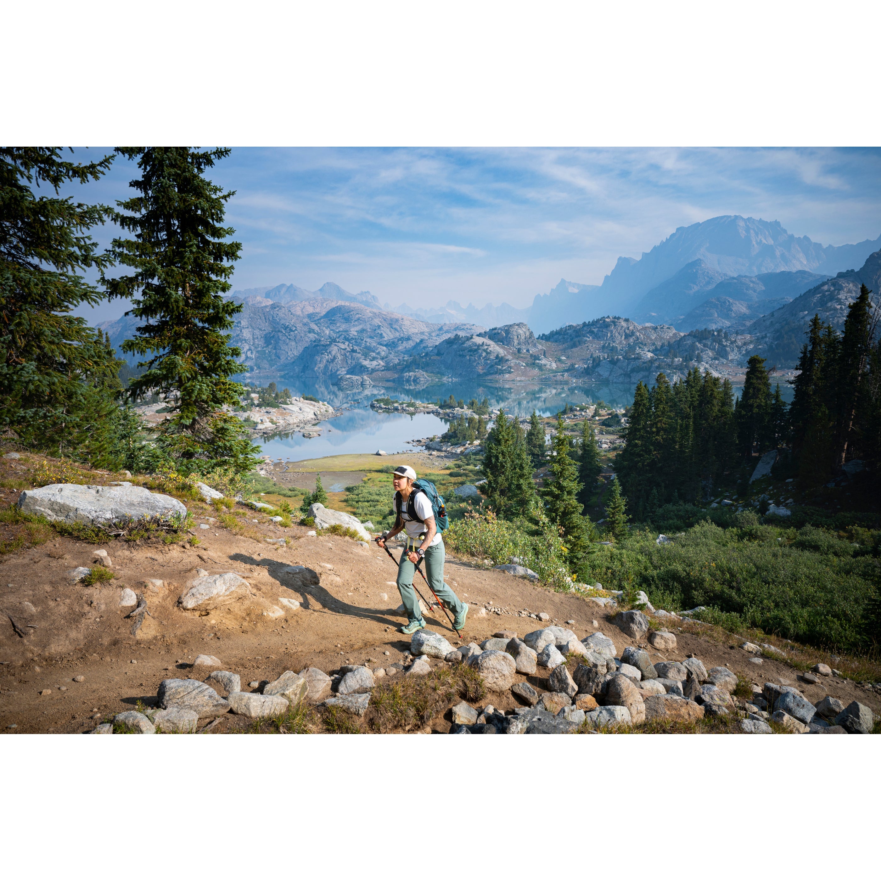 Black Diamond Trail Trekking Poles